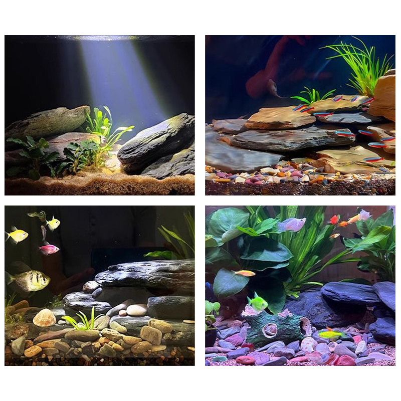 ชุดหินตกแต่งตู้ปลา 500/1000 กร - Marine Fish Tank บทวิจารณ์และราคา