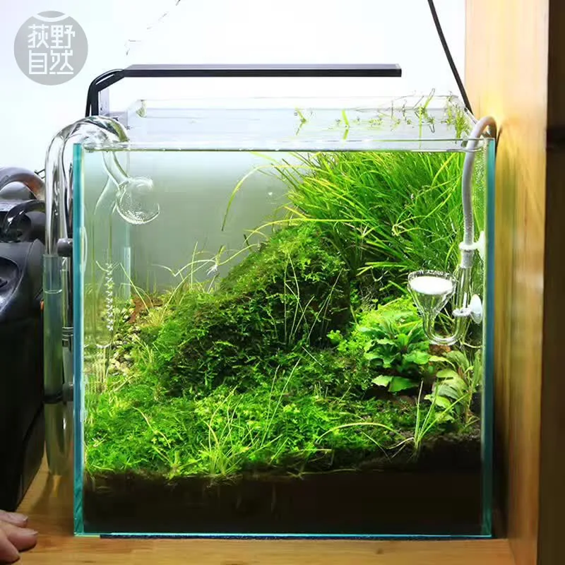 Chihiros C Series ADA สไตล์พืช - Aquarium Marine Lights บทวิจารณ์และราคา