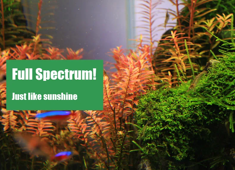 Chihiros C Series ADA สไตล์พืช - Aquarium Marine Lights บทวิจารณ์และราคา
