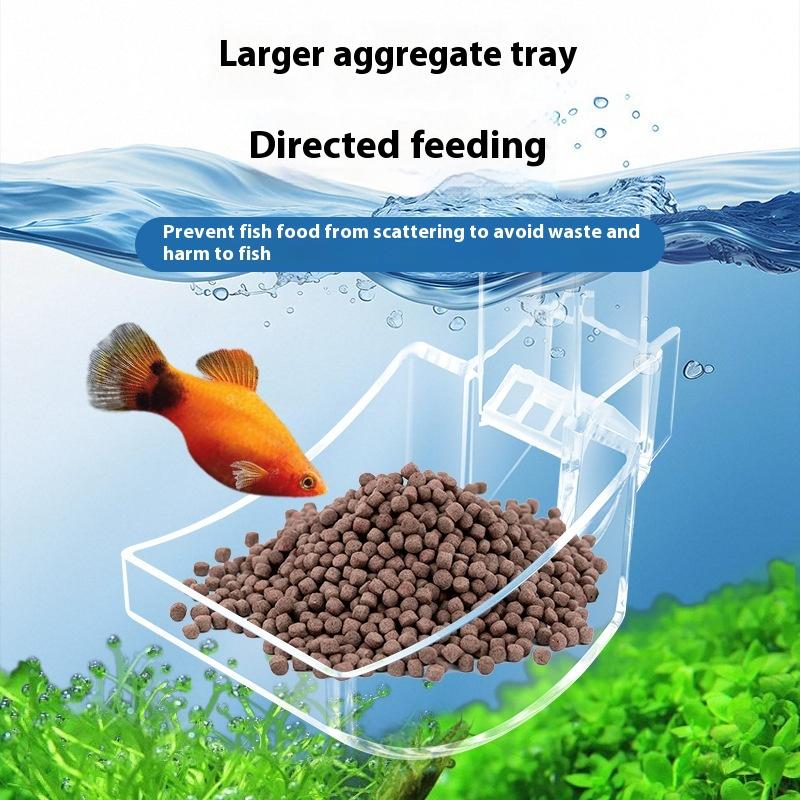 【S】ที่ให้อาหารกุ้งและหอยในตู้ป - Reef Aquarium บทวิจารณ์และราคา