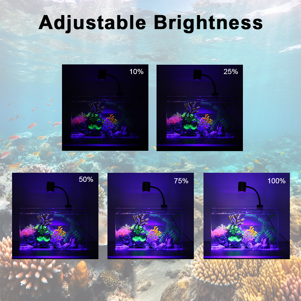ไฟ LED สำหรับตู้ปลา สเปกตรัมเต - Reef Lighting บทวิจารณ์และราคา