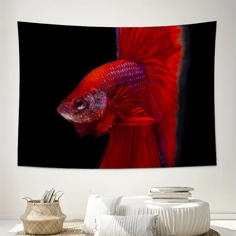 ปลาเบตต้าสีแดงสดใส พรมแขวนผนัง - Ocean Aquarium บทวิจารณ์และราคา