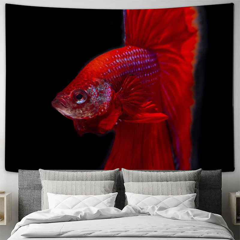 ปลาเบตต้าสีแดงสดใส พรมแขวนผนัง - Ocean Aquarium บทวิจารณ์และราคา