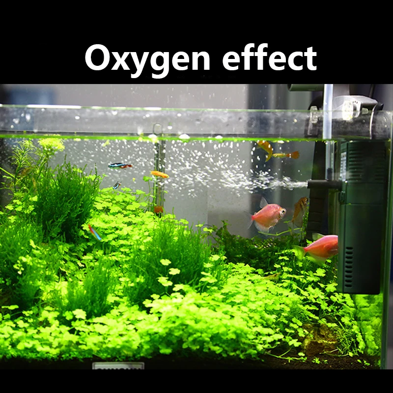 ปั๊มออกซิเจนแบบจุ่ม SUNSUN Min - Reef Tank Filter บทวิจารณ์และราคา