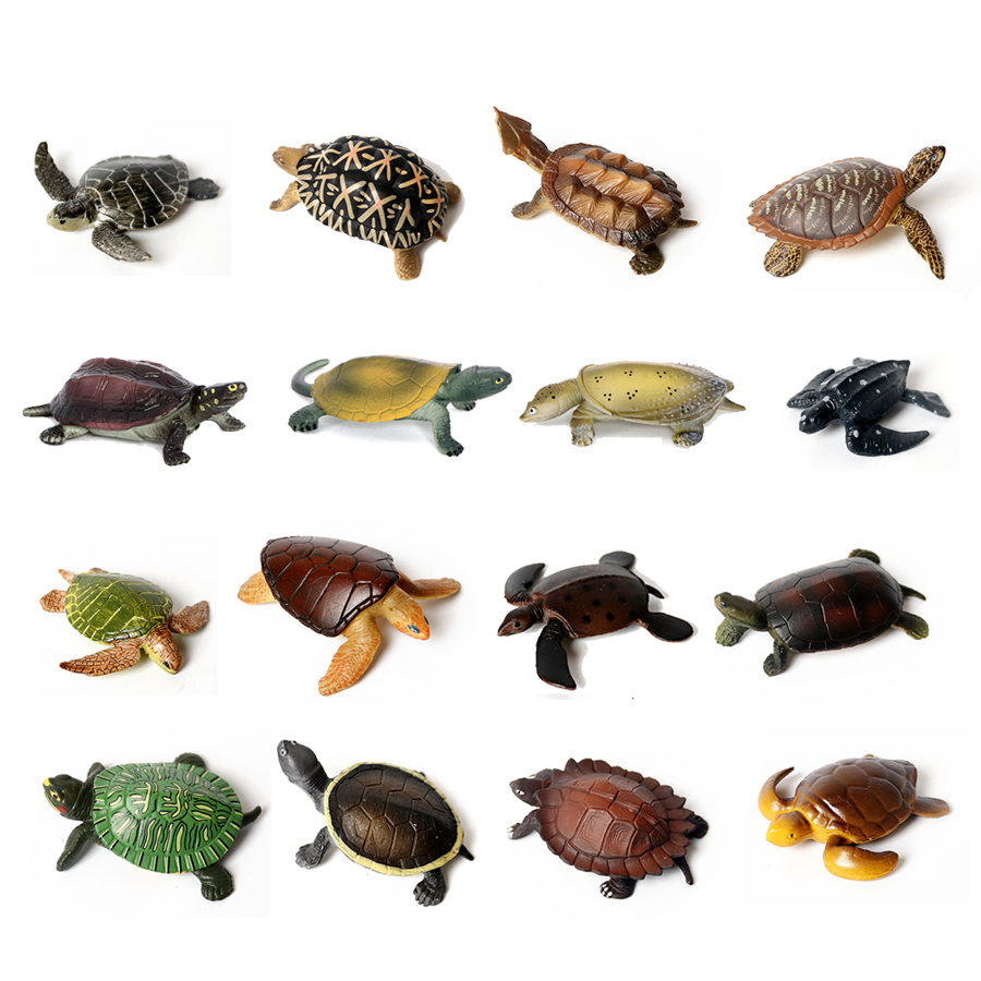 โมเดลเต่าทะเลขนาดเล็กเหมือนจริ - Ocean Aquarium บทวิจารณ์และราคา